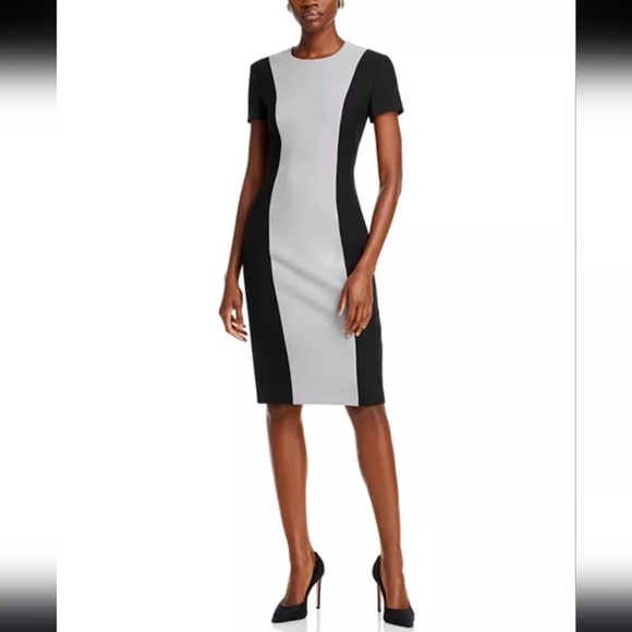 NWT Hugo Boss Damola Color Blocked Dress Size 4 - Picture 1 of 6
